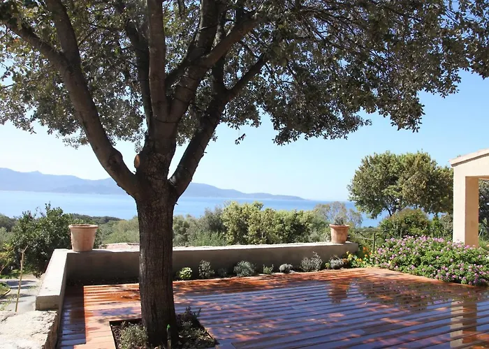 Ogliastrello * Olmeto (Corsica)