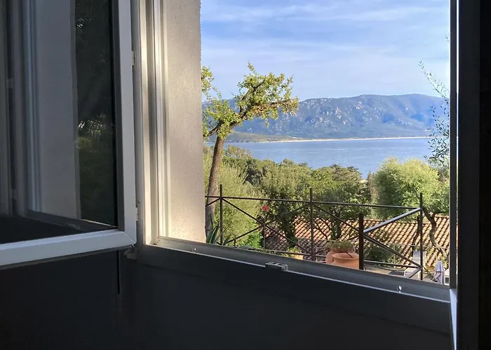 Ogliastrello Olmeto (Corsica)